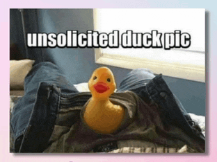 a yellow rubber duck is sitting on a person 's lap with the words unsolicited duck pic above it