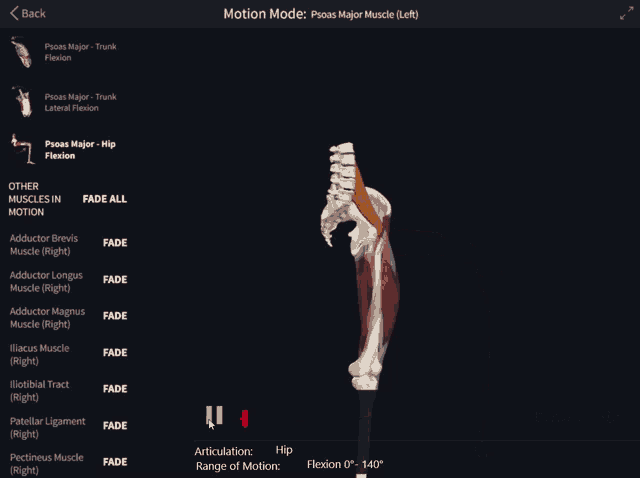 a computer screen shows a skeleton and muscles and says motion mode on the top