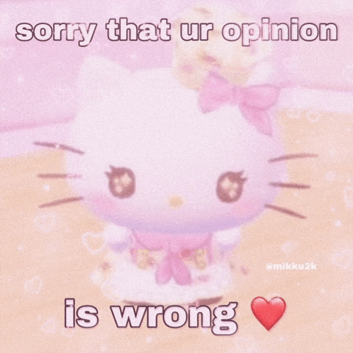 a picture of a hello kitty says sorry that your opinion is wrong