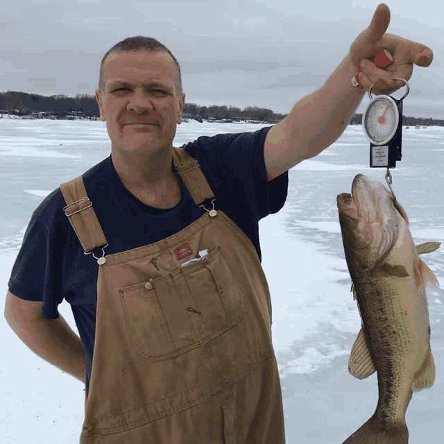 a man wearing overalls is holding a fish and a scale