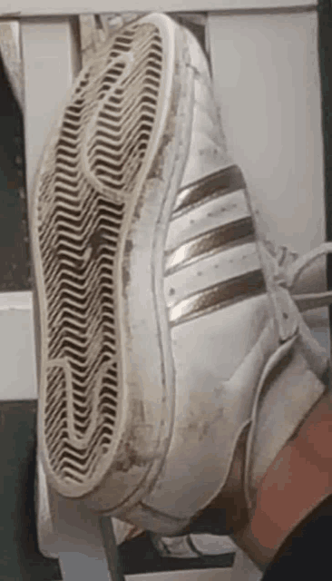 a person is wearing a pair of white and gold adidas shoes