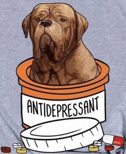 a dog is sticking its head out of a can of antidepressant