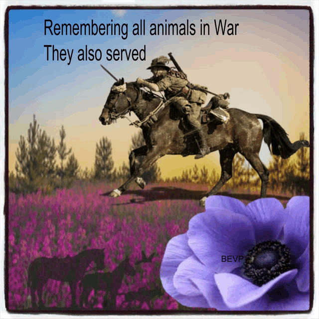 a picture of a man riding a horse with the words " remembering all animals in war they also served "