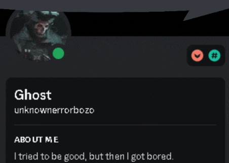 a screenshot of a person 's profile with the name ghost