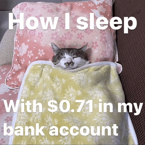 a cat is sleeping under a blanket with the words how i sleep with $ 0.71 in my bank account below it