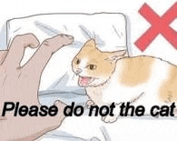 a person is holding a pillow over a cat that is laying on a bed .