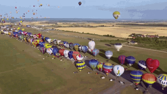 a bunch of hot air balloons are lined up in a field with one that says ' yurl ' on it