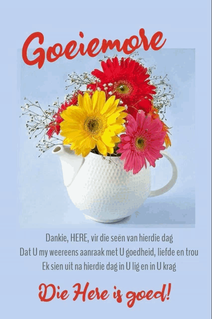 a greeting card with flowers in a white teapot and the words goeiemore