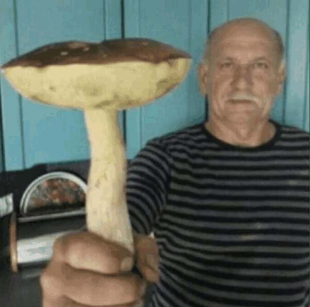 a man in a striped shirt is holding a large mushroom .