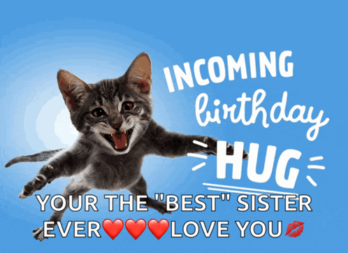 a birthday card with a cat that says incoming birthday hug your the " best " sister ever love you