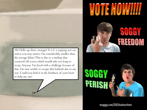 a poster that says vote now and soggy freedom on it