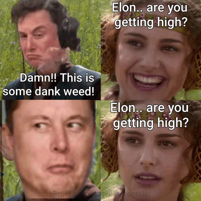 elon are you getting high damn this is some dank weed ! elon are you getting high ?