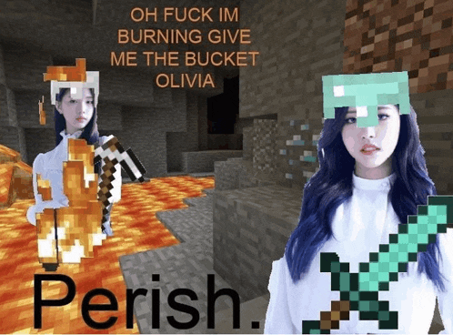 a picture of a girl in a minecraft world with the words perish on the bottom