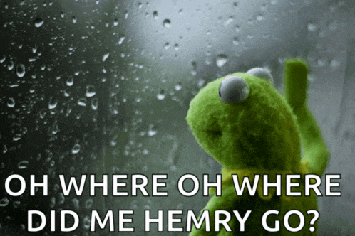 kermit the frog looking out a window with the words " oh where oh where did me hemry go " on the bottom