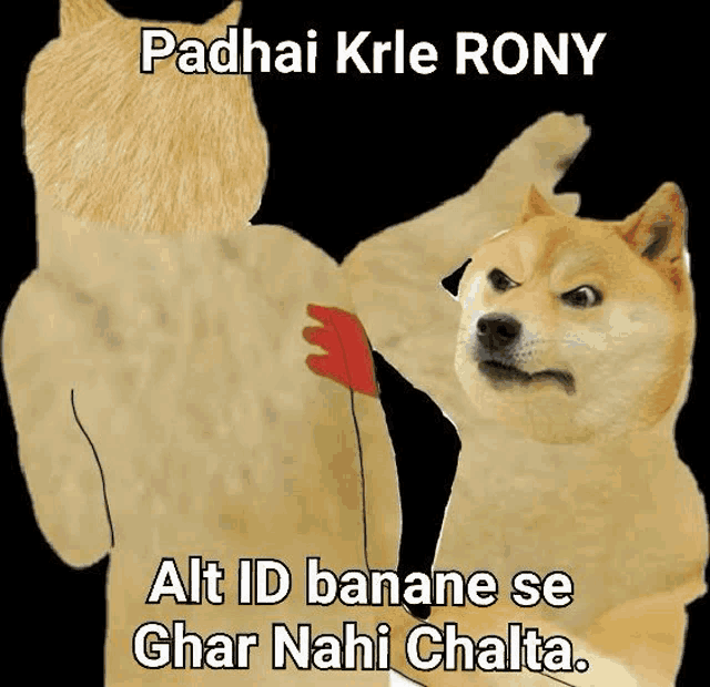 a doge is standing next to another doge with the words " alt id banana se ghar nahi chalta " written on it