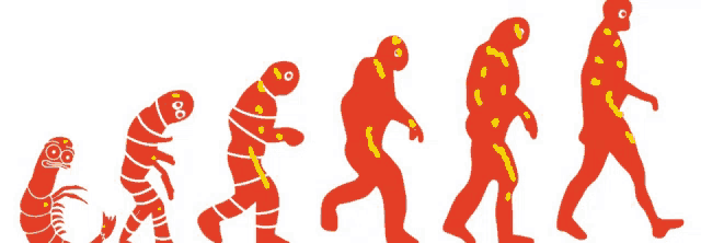 a drawing of the evolution of man from a worm to a human