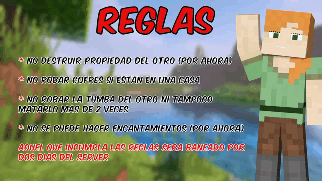 a poster with a minecraft character and the word reglas