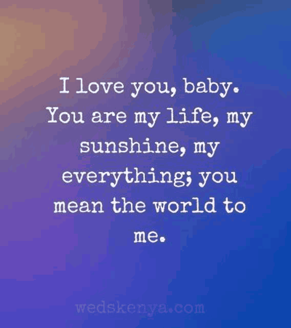 i love you , baby , you are my life , my sunshine , my everything ; you mean the world to me .