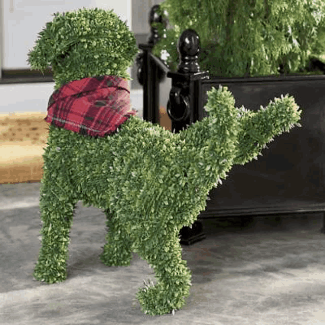 a topiary dog with a plaid scarf around its neck is standing next to a planter .