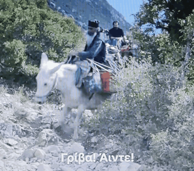 a man riding on the back of a donkey with a caption that says ' tpba ' on it