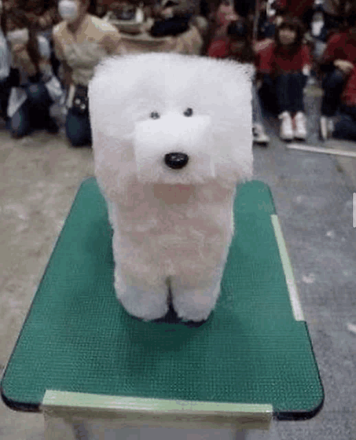 a white stuffed animal is sitting on a green table