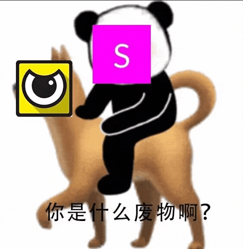 a panda bear is riding a dog with a purple s on its head