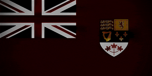 a british flag and a canadian coat of arms on a dark background