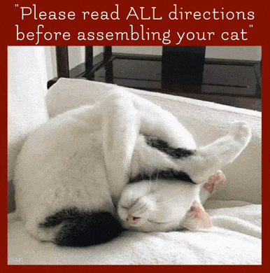 a picture of a cat with the words " please read all directions before assembling your cat " at the bottom