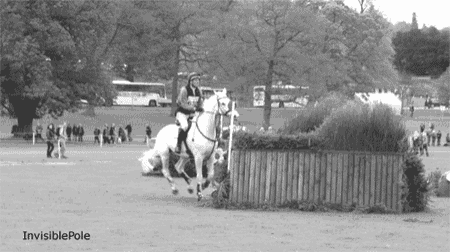 a black and white photo of a horse jumping over a wooden fence with the words invisible pole at the bottom