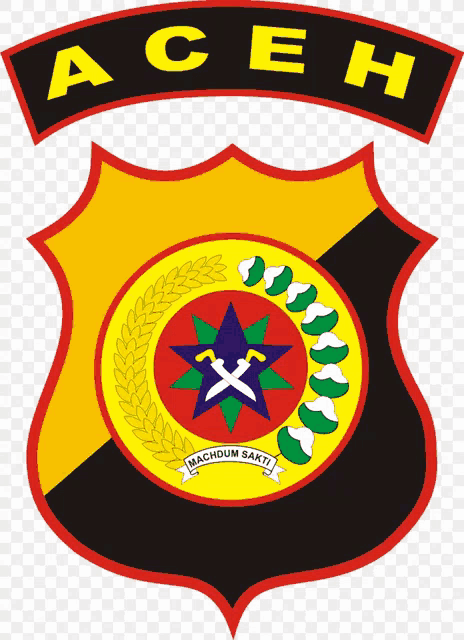 a black and yellow emblem with the word aceh on top