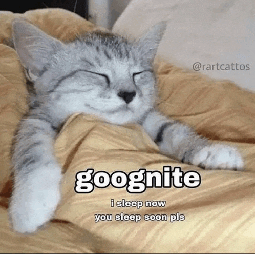 a cat is sleeping on a bed under a blanket with the words `` goognite i sleep now you sleep soon pls '' .