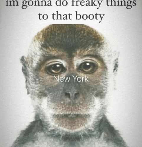 a picture of a monkey with the words " im gonna do freaky things to that booty "