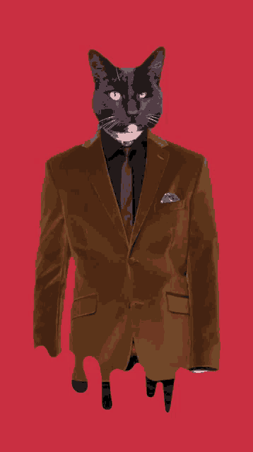 a black cat is wearing a brown jacket and tie