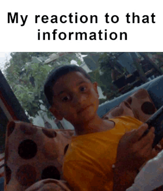 a young boy is laying on a couch holding a cell phone with the caption " my reaction to that information " above him