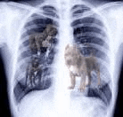 an x-ray of a person 's chest with two dogs and a lion in the lungs .