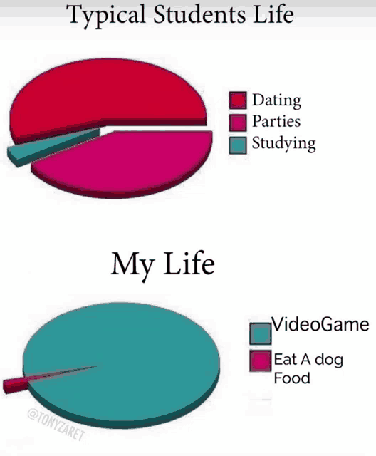 a pie chart showing the typical students life and their life