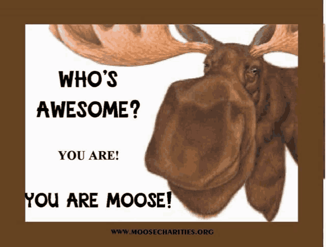 a picture of a moose with the words who 's awesome you are moose on it