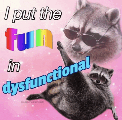 a raccoon wearing sunglasses is laying on its back with the words " i put the fun in dysfunctional " above it