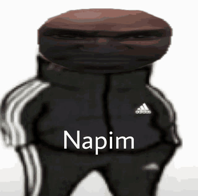 a picture of a person with the word napim on the bottom