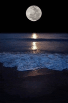 a full moon is shining over the ocean at night