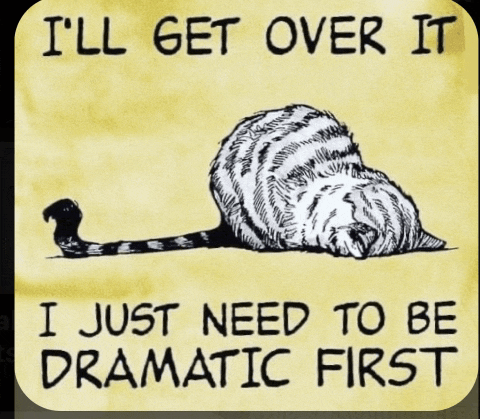 a drawing of a cat with the words " i 'll get over it i just need to be dramatic first " below it