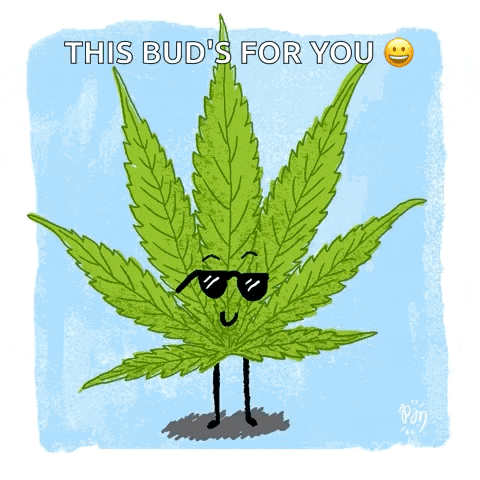 a cartoon of a marijuana leaf wearing sunglasses with the words this bud 's for you below it