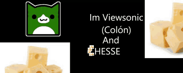 a picture of a cat with the words im viewsonic colon and hesse