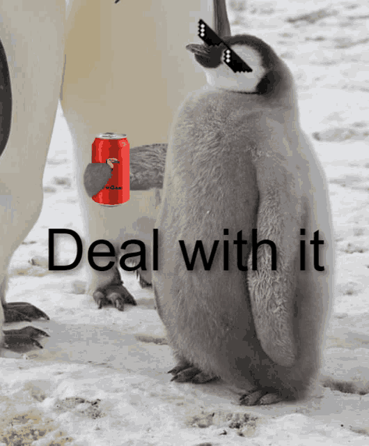 a penguin wearing sunglasses is next to a can of red bull