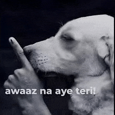 a black and white photo of a dog making a shhh gesture .