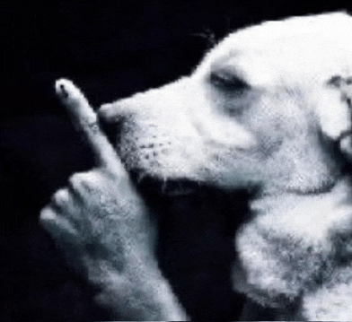 a black and white photo of a dog making a middle finger gesture .