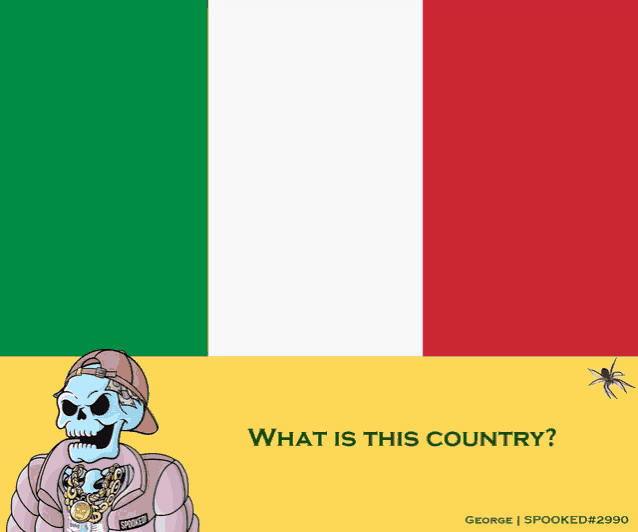 a cartoon of a skeleton standing in front of a flag with the words what is this country below it