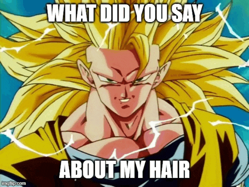 a picture of a dragon ball z character with a caption that says what did you say about my hair