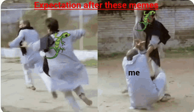 a lizard is on the back of a person 's shirt and the caption says expectation after these memes