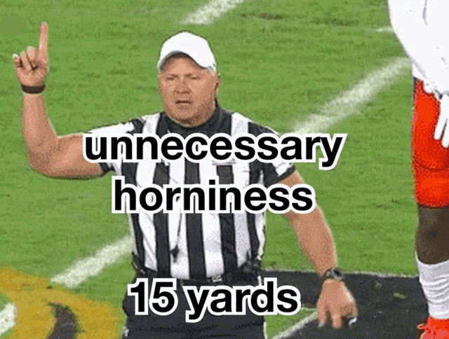 a referee on a football field with the words unnecessary horniness 15 yards